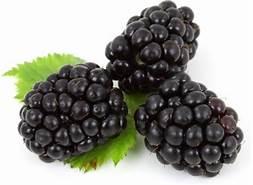 blackberryblackberry是什么意思